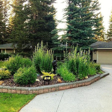 Redwood Retreat Panzió Bragg Creek Kültér fotó