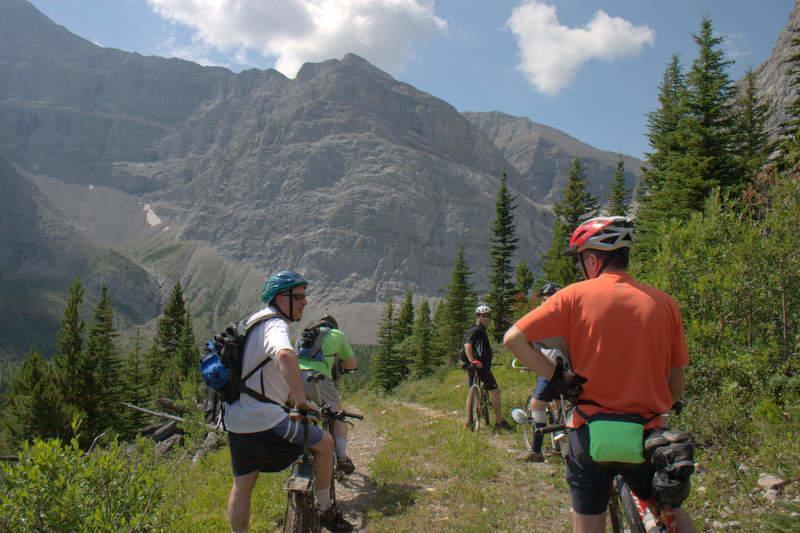 Redwood Retreat Panzió Bragg Creek Kültér fotó