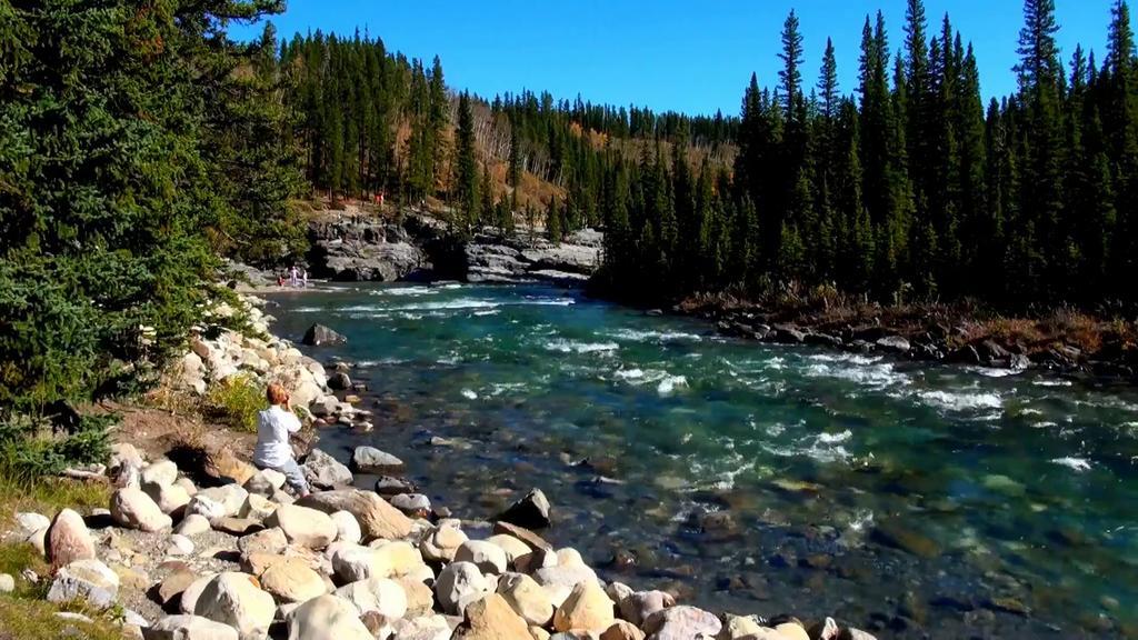 Redwood Retreat Panzió Bragg Creek Kültér fotó